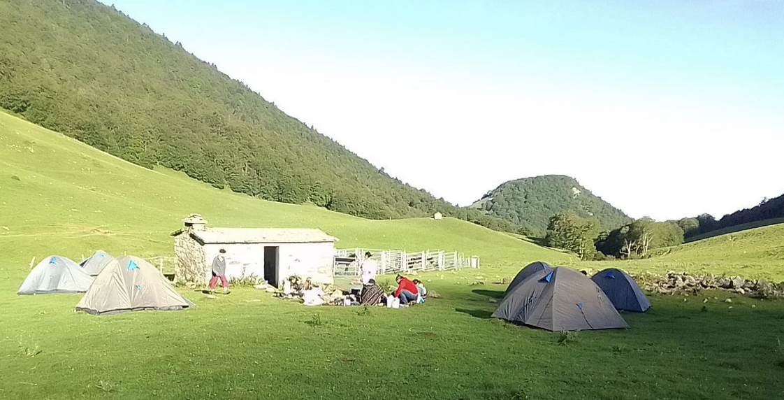 Scout 65 éclaireurs