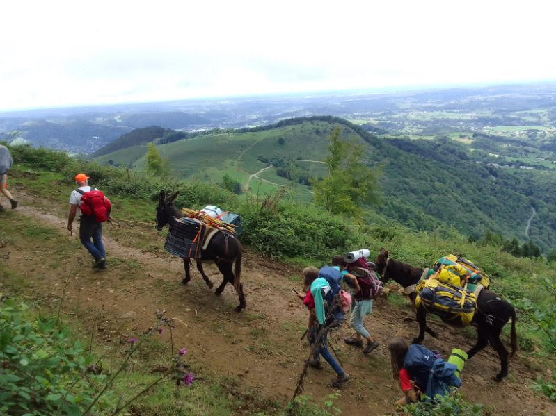 scout 65 éclaireur 65